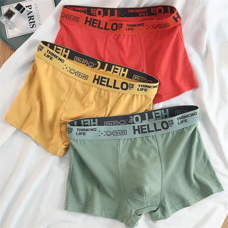 10 шт./мужское нижнее белье, м – обзор и цена Boxer Brief Pack Cotton